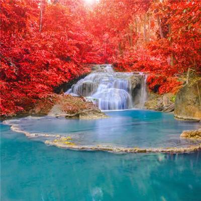 KOK·综合体育app